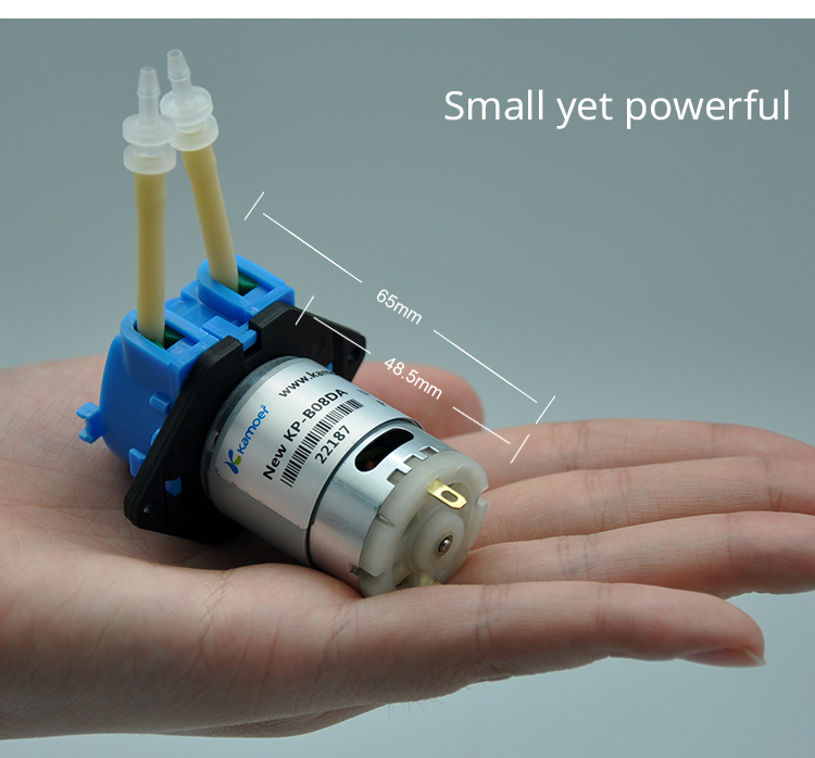 Dc Motor 12V - 2026 nieuwe NKP 6V 12V 24V