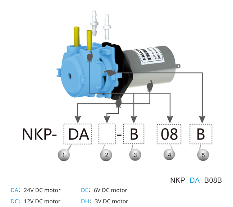 2026 nieuwe NKP 6V 12V 24V DC  - Dc Motor 12V recensie en prijs