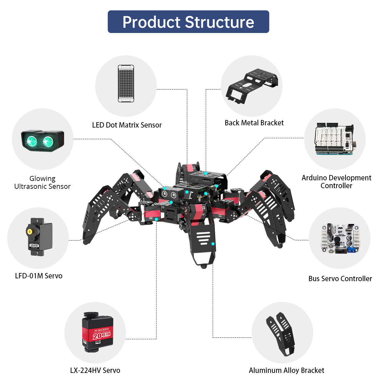 Hiwonder Spiderbot Programmeer - Robot Remote Control recensie en prijs